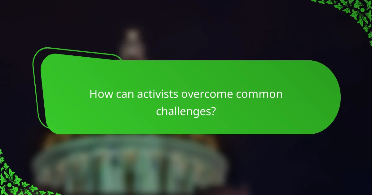 How can activists overcome common challenges?