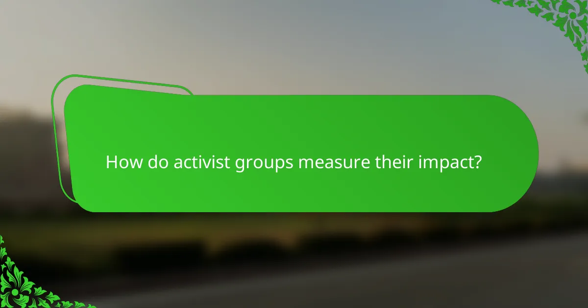 How do activist groups measure their impact?