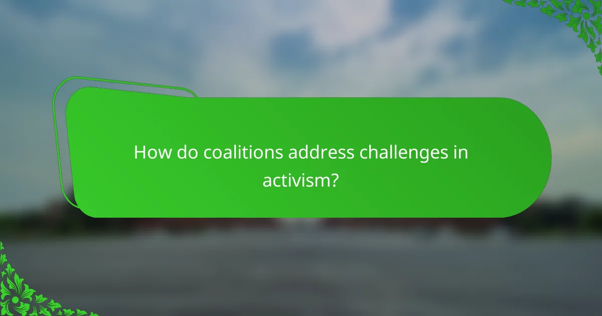 How do coalitions address challenges in activism?