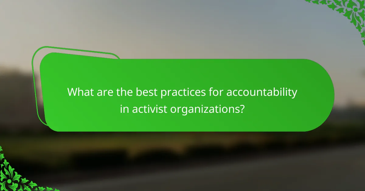What are the best practices for accountability in activist organizations?