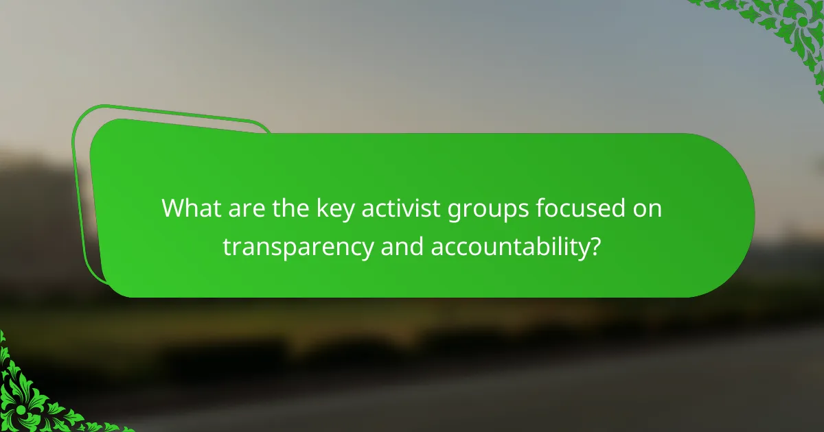 What are the key activist groups focused on transparency and accountability?